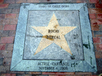 Rocio-Durcal